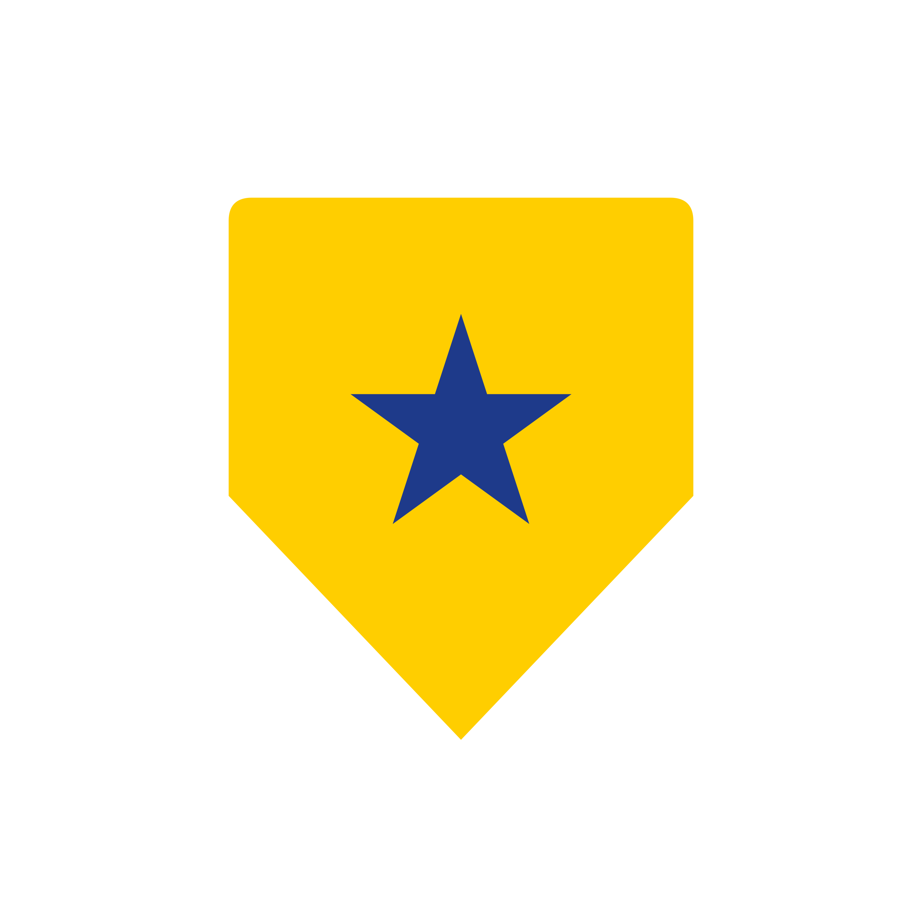 Secure Your AI